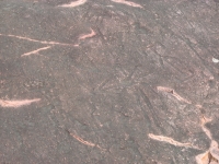 Petroglyphs at Jeffers Site
